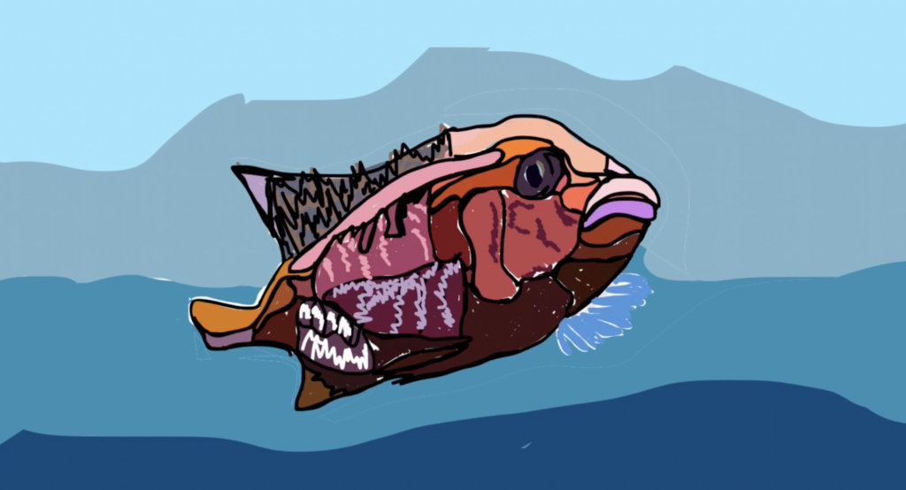 Redford Center Stories Challenge 2022 Highlights The Redford Center