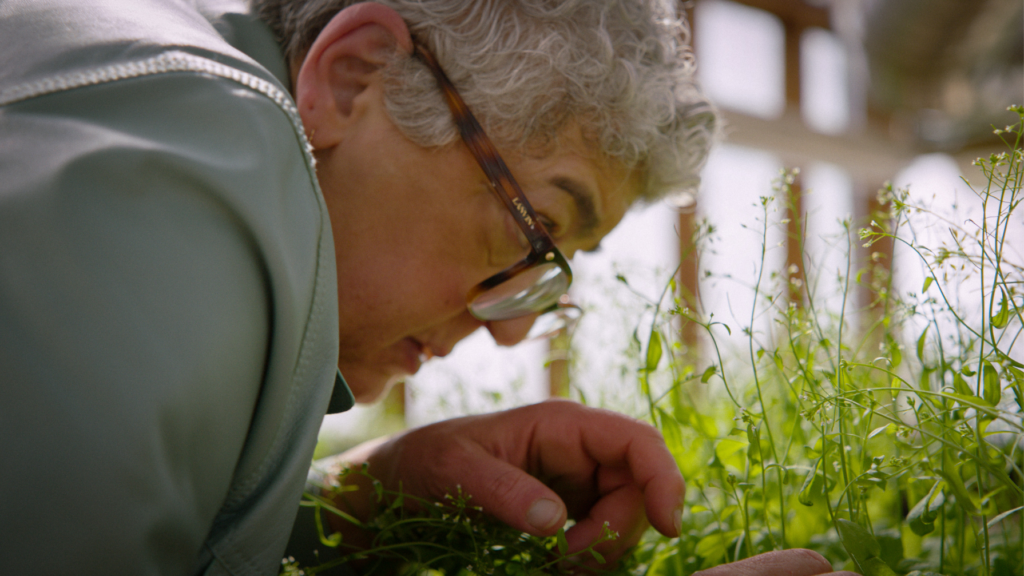 Plant Life - The Redford Center