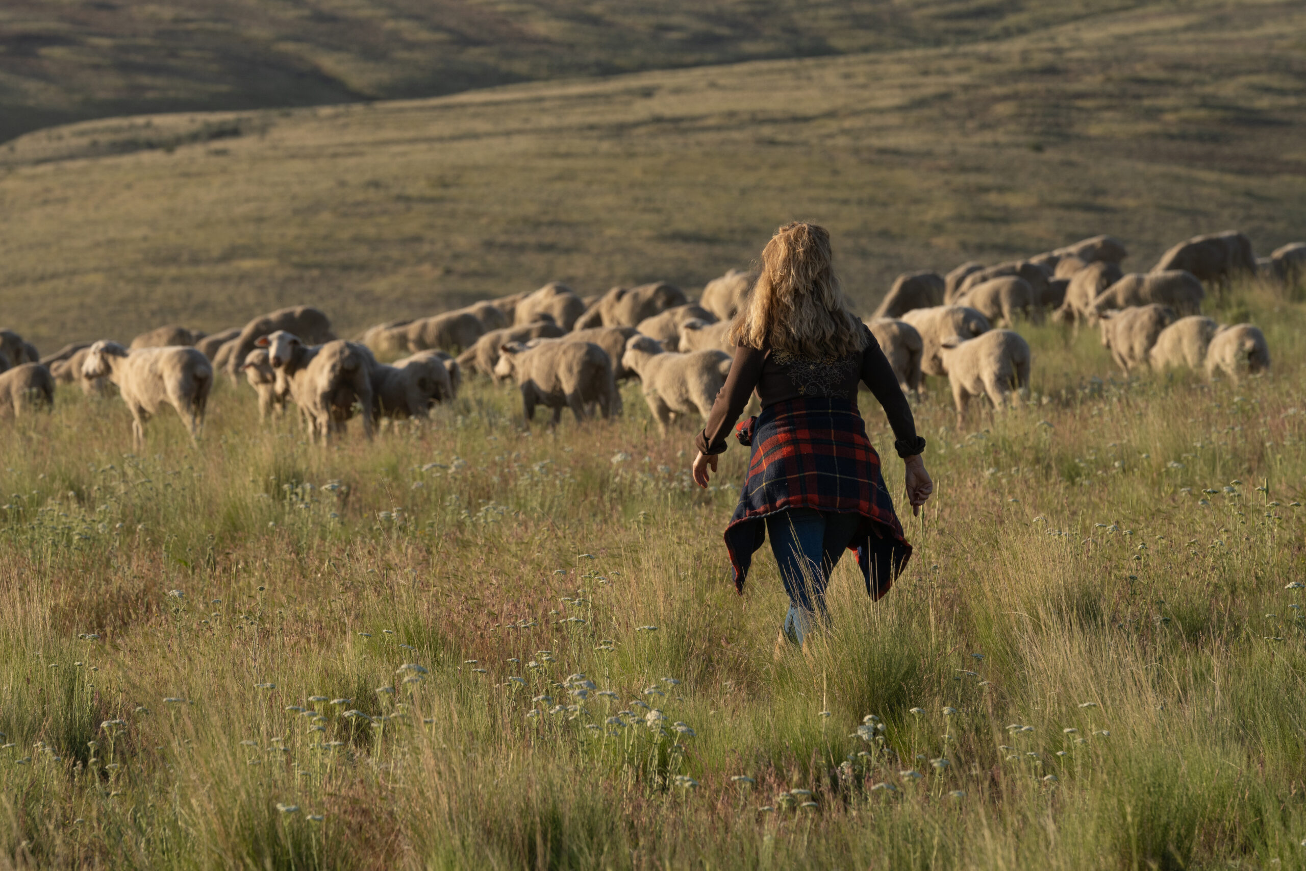 Fiber The Redford Center